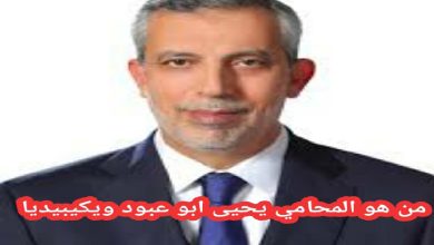 يحيى ابو عبود السيرة الذاتية