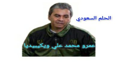 من هو عمرو محمد علي ويكيبيديا السيرة الذاتية