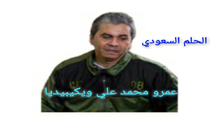 من هو عمرو محمد علي ويكيبيديا السيرة الذاتية