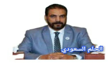 من هو طارق عناني ويكيبيديا