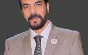 طارق عناني وثورة 30 يونيو