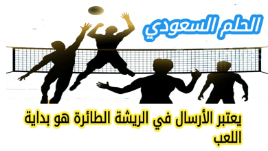 يعتبر الأرسال في الريشة الطائرة هو بداية اللعب صواب ام خطا
