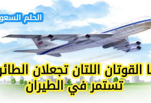 ما القوتان اللتان تجعلان الطائرة تستمر في الطيران