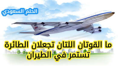 ما القوتان اللتان تجعلان الطائرة تستمر في الطيران