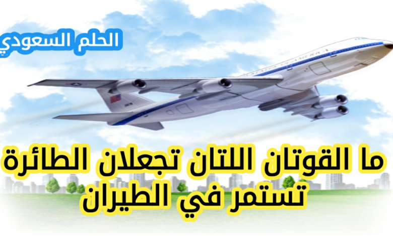 ما القوتان اللتان تجعلان الطائرة تستمر في الطيران