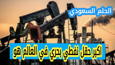 اكبر حقل نفطي بحري في العالم هو