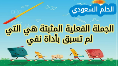 الجملة الفعلية المثبتة هي التي لم تسبق بأداة نفي