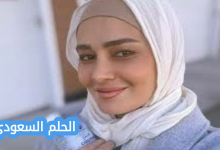 حلا شيحة السيرة الذاتية