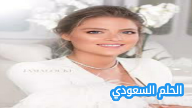 السيرة الذاتية كريستينا مراد صعب