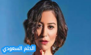 من هي منة شلبي ويكيبيديا