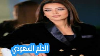من هي رضوى الشربيني