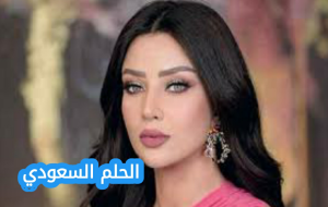 من هو زوج رضوى الشربيني
