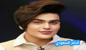 ديانة شهاب ملح