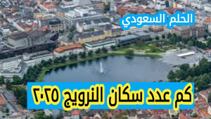 كم عدد سكان النرويج ٢٠٢٥