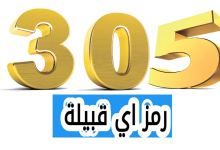 دلالة الرمز 305