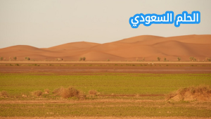 عائلة الاشراف