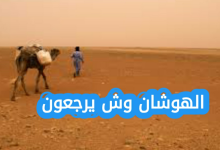 الهوشان وش يرجعون