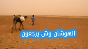 الهوشان وش يرجعون