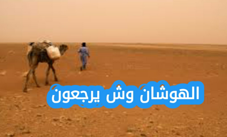 الهوشان وش يرجعون