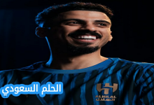 من هو علي لاجامي - السيرة الذاتية