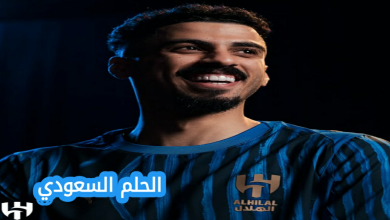 من هو علي لاجامي - السيرة الذاتية