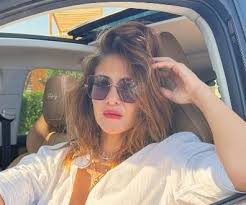 من هي الفنانة هيدي كرم؟