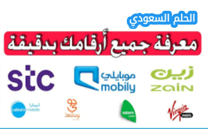طريقة معرفة الأرقام المسجلة باسمك برقم الهوية في السعودية