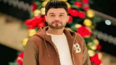 من هو احمد عامر ويكيبيديا