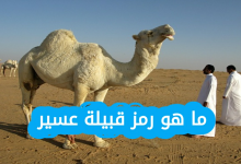 ما هو رمز قبيلة عسير