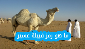 ما هو رمز قبيلة عسير