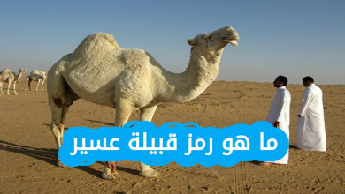 ما هو رمز قبيلة عسير