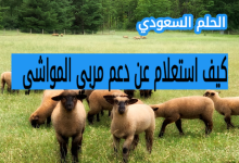 كيف استعلم عن دعم مربي المواشي