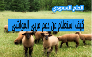كيف استعلم عن دعم مربي المواشي