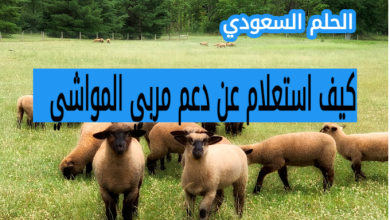 كيف استعلم عن دعم مربي المواشي