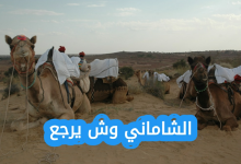 الشاماني وش يرجع