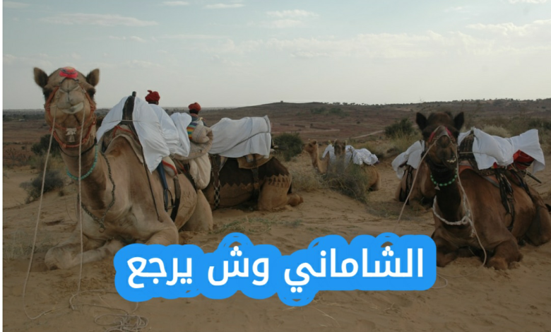 الشاماني وش يرجع