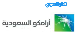 ما هو برنامج تدرج أرامكو