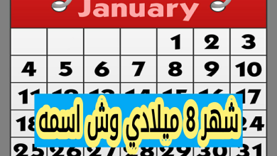 شهر 8 ميلادي وش اسمه