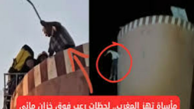 من هو بوعبيد المعتصم