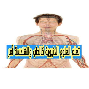 تعلم العلوم الدنيوية كالطب والهندسة أمر