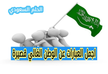 اجمل العبارات عن الوطن الغالي قصيرة