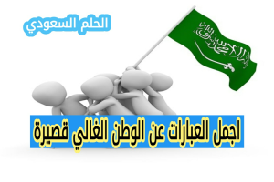 اجمل العبارات عن الوطن الغالي قصيرة