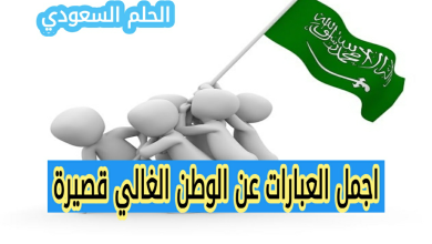 اجمل العبارات عن الوطن الغالي قصيرة