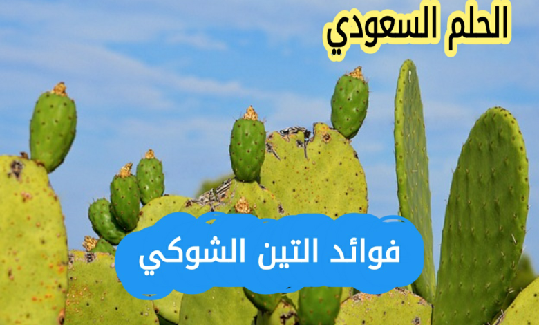فوائد التين الشوكي للبشرة