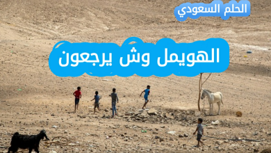 الهويمل وش يرجعون