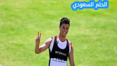 من هو محمد شحاتة ويكيبيديا