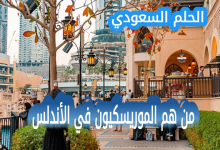 من هم الموريسكيون في الأندلس