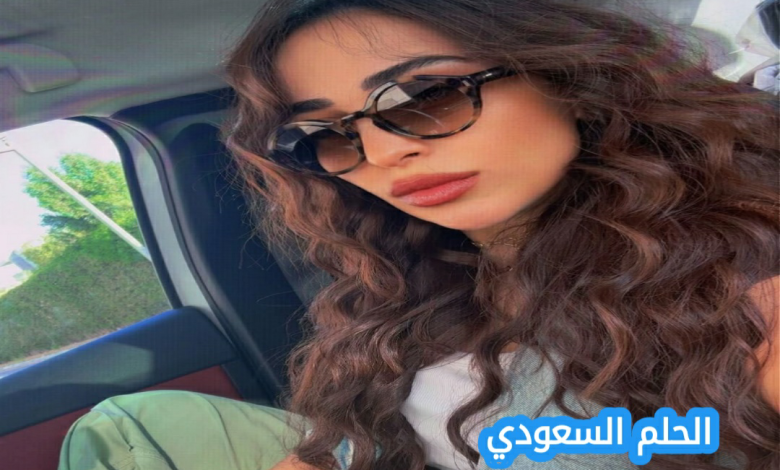 هاجر الإبياري ويكيبيديا