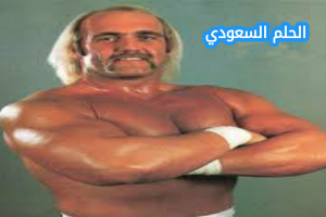 من هو هولك هوجان ويكيبيديا 
