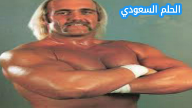 من هو هولك هوجان ويكيبيديا